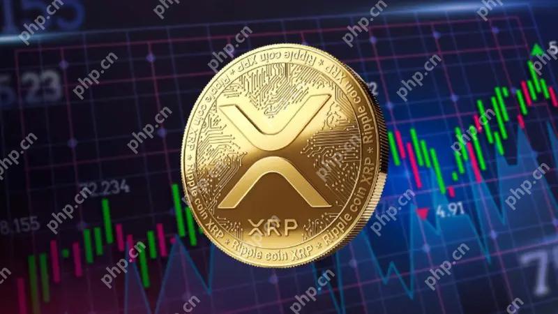 全球区块链支付平台大盘点：哪些平台更安全高效？